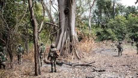 Au Sénégal, un militaire blessé et un autre porté disparu lors d’une opération en Casamance
