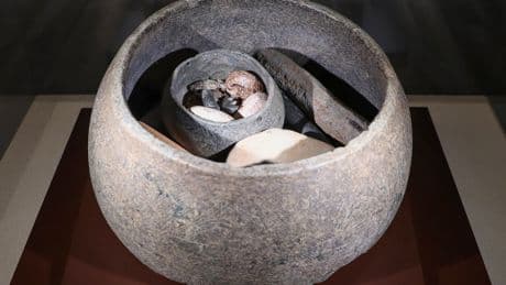 Unearthed stone animals uncover secrets of prehistoric life