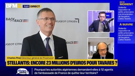 Rémunération de Carlos Tavares à Stellantis: l'opposition des petits actionnaires