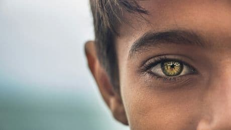 « Olo », cette nouvelle couleur que l’oeil humain ne voyait pas