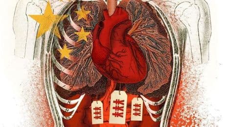 Murders masquerading as medicine