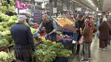 Pazarda tanesi 25 TL'den satılıyor! Görenler yolunu değiştiriyor