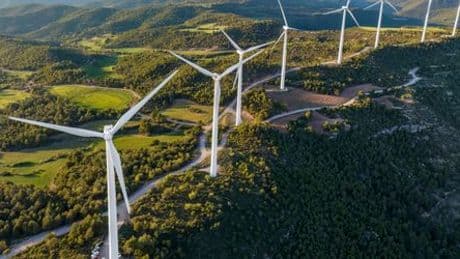 Klimaschutz und Sparen: Einfache Lösung bleibt mit umweltschädlichen Subventionen ungenutzt