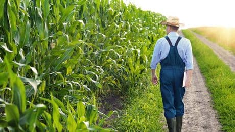 'Better access': Bipartisan Senate push to fund farmers suicide prevention fund gains steam