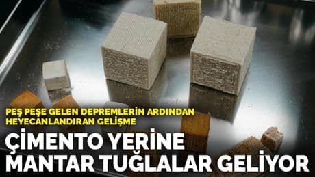Peş peşe gelen depremlerin ardından heyecanlandıran gelişme: Çimento yerine mantar tuğlalar geliyor