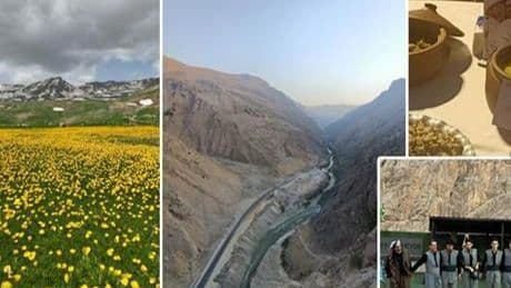 'Bir Anadolu Şenliği' coşkusu Hakkari'yi sardı! 'Huzurun, güvenin zirvede olduğunun göstergesi'