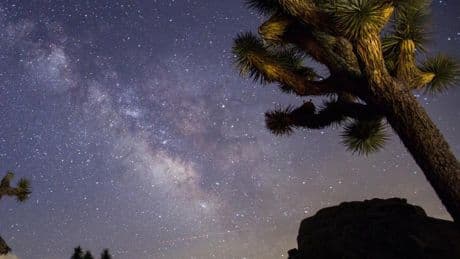 Contributor: The true cost of abandoning science
