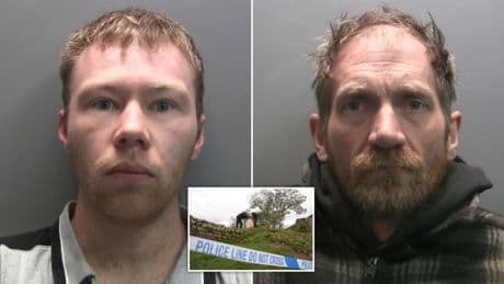 ‘Moronic’ friends guilty of chopping down iconic 150-year-old Sycamore Gap tree