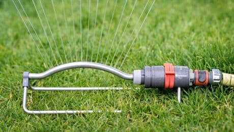 Rasensprengen verboten - Behörde verhängt Wasser-Sperre für 1,2 Mio. Bürger