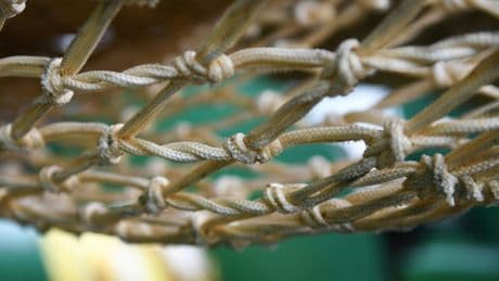 Océans : l'association Bloom attaque l'Etat pour tenter d'interdire le chalutage de fond en France
