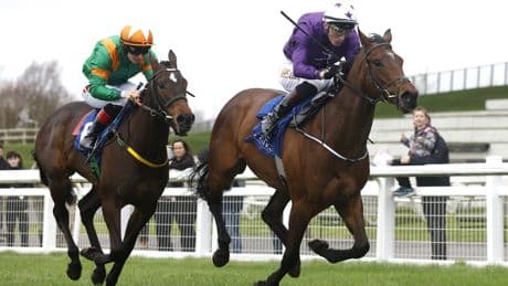 Royal Ascot Odds: Latest Betting Odds for Royal Ascot 2025