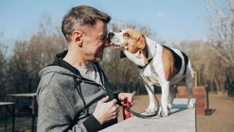 Es gibt viele Gründe - Warum leckt mich mein Hund ab?