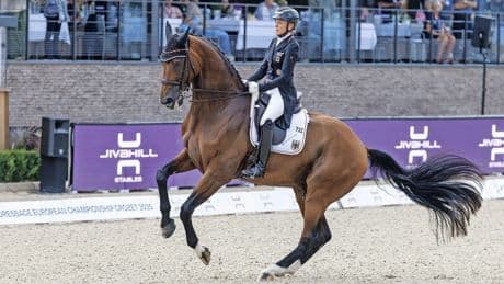 Eine Spur im Sand ist Schuld: Der sanfte Riese verliert die Fassung