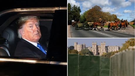 From the Beast to dogs and batons: How US and UK teams will protect Trump