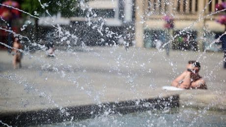 Alle Wetter-News im Live-Ticker - Hitzewelle in Deutschland erreicht Höhepunkt