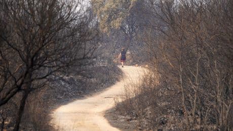 "Es una desgracia para El Bierzo, España y Europa": expertos, tajantes ante el devastador incendio en Las Médulas
