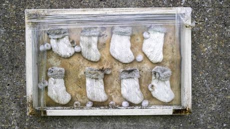 Excavation to begin at Irish mother and baby home where 796 infants were buried in septic tank