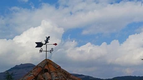 El baile del viento y la salamandra veleta