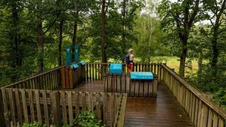 Wandern in Berlin: Auf dem Klimapfad durch den Grunewald
