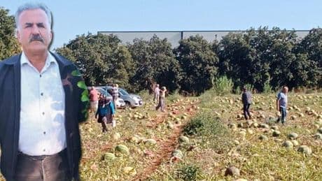 Antalya'da sosyal medyadan çağrı yaptı! Bedava dağıttı: Tam 120 ton...