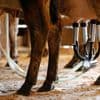Florida farm identified as source of raw milk that sickened 21