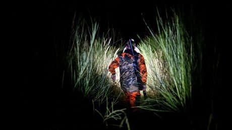 Kampf gegen Tierseuchen. Mit Drohne gegen die Pest