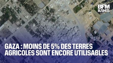 Gaza : moins de 5% des terres agricoles sont encore utilisables