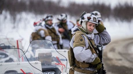 What would a UK home guard look like? This is how they work in other countries