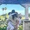 Meghan shares a new picture of Archie and Lilibet as she celebrates Mother's Day in the US: 'Cheers to juggling it all with joy!'