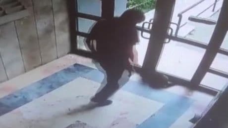 Kediyi öldüren cani için karar! İfadesi ortaya çıktı: Can düşmanım olarak gördüm