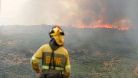 Incendios en España, en directo | Castilla y León mantiene seis incendios de gravedad máxima pese a la evolución positiva