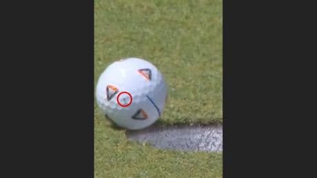 Insekt locht ein - Fliege macht Profi-Golfer um 80.000 Dollar reicher