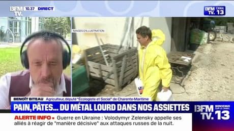 Métaux lourds dans les pesticides: "On peut faire une agriculture qui s'affranchie de tout ça", affirme Benoît Biteau, agriculteur et député Écologiste et Social