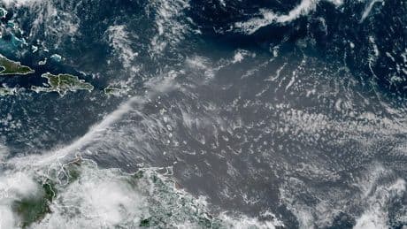 A Giant Plume of Saharan Dust Is Headed to Florida