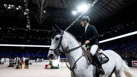 Pferdesport: Querelen um einen vierbeinigen Superstar