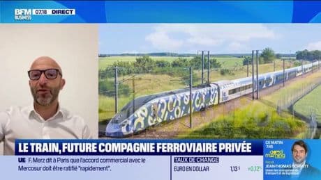 L'ouverture à la concurrence, une "compétition complexe" selon le patron de la compagnie Le Train