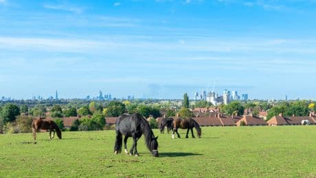 Sadiq Khan to redraw London’s green belt to build 88,000 homes a year