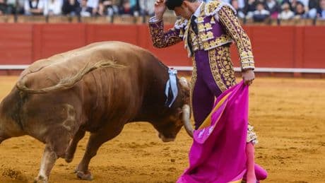 Lección de Alcurrucén en Sevilla coronada con la brava cátedra de un Profesor superlativo