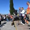 « Un choc » : dans le Gard, les salariés de la Verrerie du Languedoc manifestent contre sa fermeture