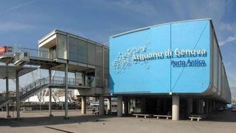 Mercoledì da tutto esaurito all’Acquario di Genova: oltre 9mila visitatori
