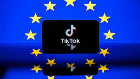 Protection des données : TikTok condamné à 530 millions d'euros d'amende