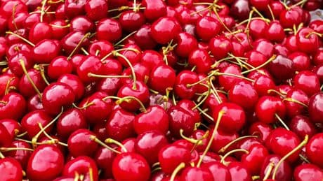 Estas son las empresas que están detrás de las sabrosas cerezas que vende Mercadona