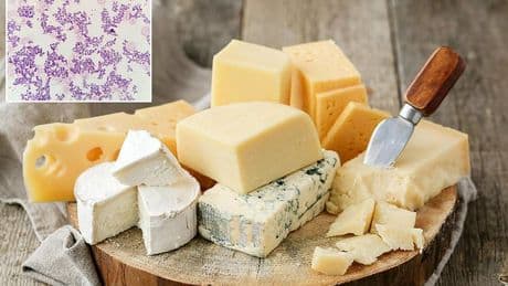 More than 5,000lbs of cheese recalled over fears of contamination with deadly bacteria