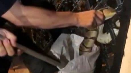 Sakın açıkta bırakmayın, yılanları cezbediyor!