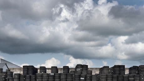 Raad van State buigt zich over de tijgermug in tractorband