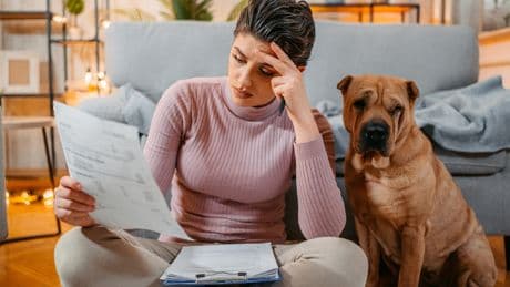 Happige Hundesteuer: In diesen Städten zahlen Herrchen und Frauchen am meisten