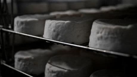 Suspicion de Listeria : plus de 40 lots de fromages rappelés