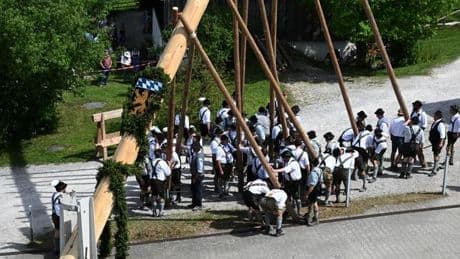 Brauchtum: Maibaum von Brüssel bis zur Zugspitze