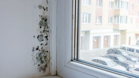 Thousands of homes with popular insulation putting you at risk of mould and damp can get it fixed for free – here’s how