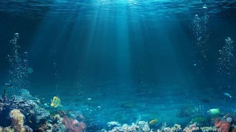 Ocean Day 2025: Sustaining The Wonder That Sustains Us